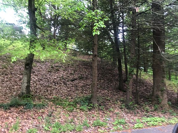 3rd image of 222 Lake Hill Dr