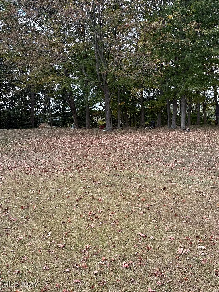 953 Shady Glen Rd photo 1