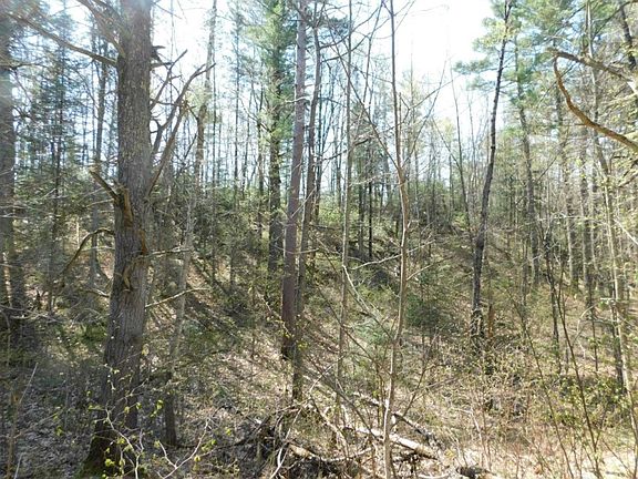 5th image of On Barker Lake Road