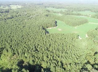 307 Scr 64e, Mize, MS 39116