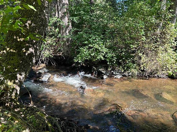 5th image of 1404 S Shasta Ranch Rd