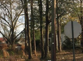 20 E Olliff St, Statesboro, GA 30458