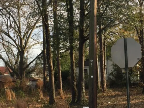 20 E Olliff St, Statesboro, GA 30458