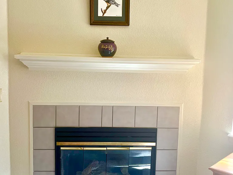a quartz gas fireplace that turns on with the flip of a switch and never needs maintenance or cleaning.