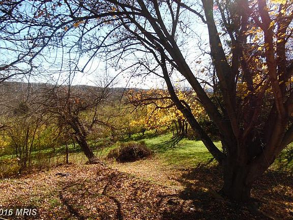 2nd image of 4035 Cedar Creek Grn