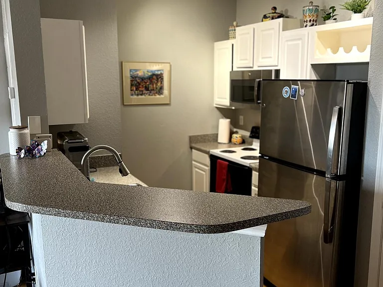 5000 Culbreath Key Way #9321 — Photo 7