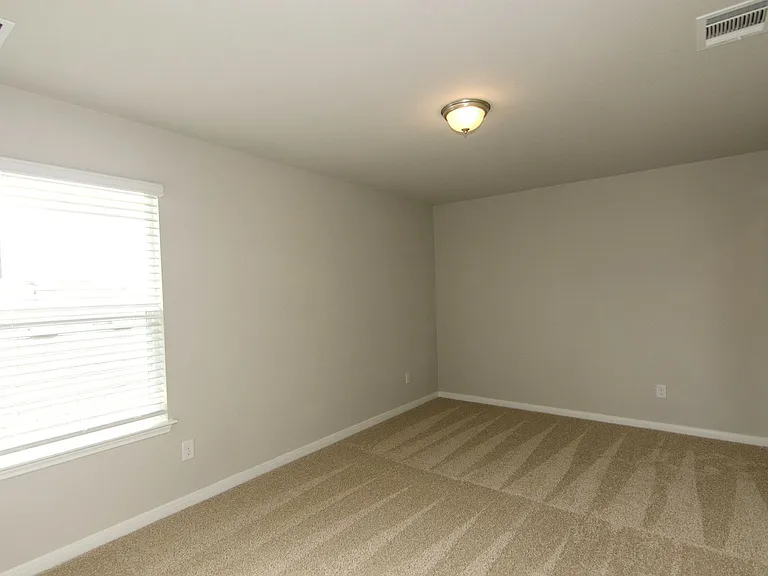392 Fall Aster Dr — Photo 26