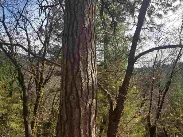 319 Hannon Ave, Crescent Mills, CA 95934