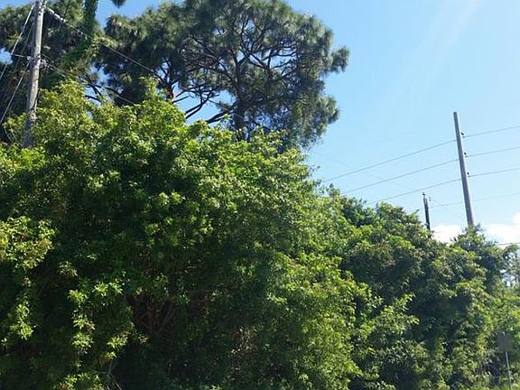 3rd image of 5 Palmetto Dr
