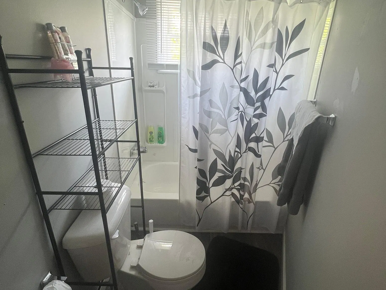 Studio, 600 sqft, $795 — Photo 4