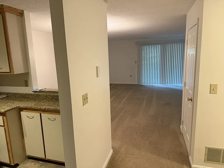 Entering the condo. Kitchen to the left, living room straight ahead, coat closet to the right
