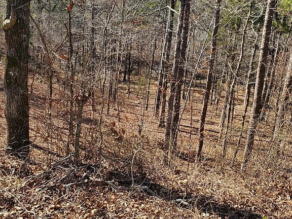 2nd image of Polk Rd #197