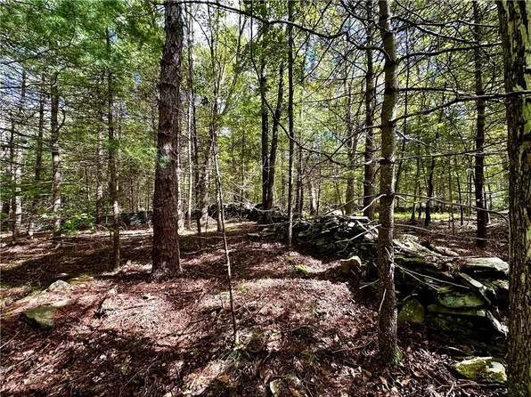 Tuthill Road, Pond Eddy, NY 12770