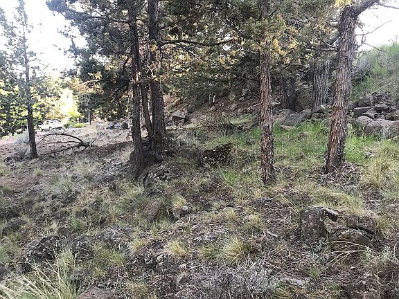 5th image of 3397 18th Fairway Pl Lot 155