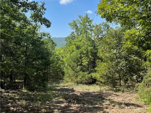 TRACT A/b Ne 120th/butterfield Rd, Red Oak, OK 74563