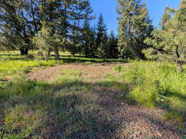 PARCEL Elk City Wagon Rd #B, Stites, ID 83552