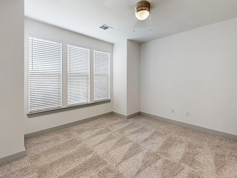 Palo Verde — Photo 104