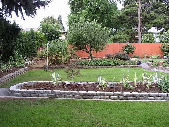 More Back yard