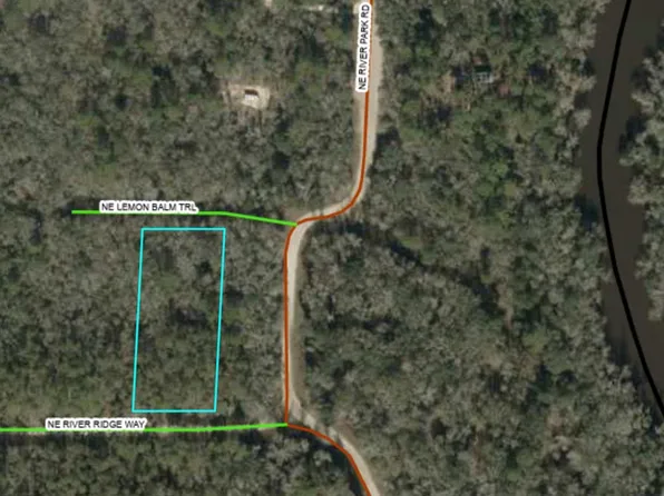 Vacant Ne Lemon Balm Trl, Lee, FL 32059