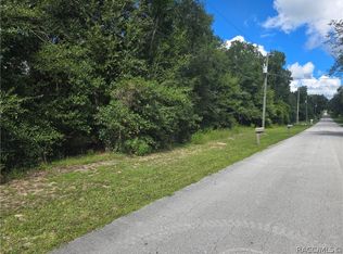 366 S Savary Ave, Inverness, FL 34453