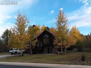 347 Black Bear Trl, Woodland Park, CO 80863