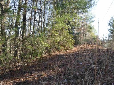 0 Fir #3623, Ellijay, GA, 30540