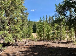 163 Guymard Rd, Fairplay, CO 80440