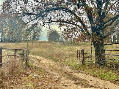 000 State RouteTT, Mountain View, MO, 65548