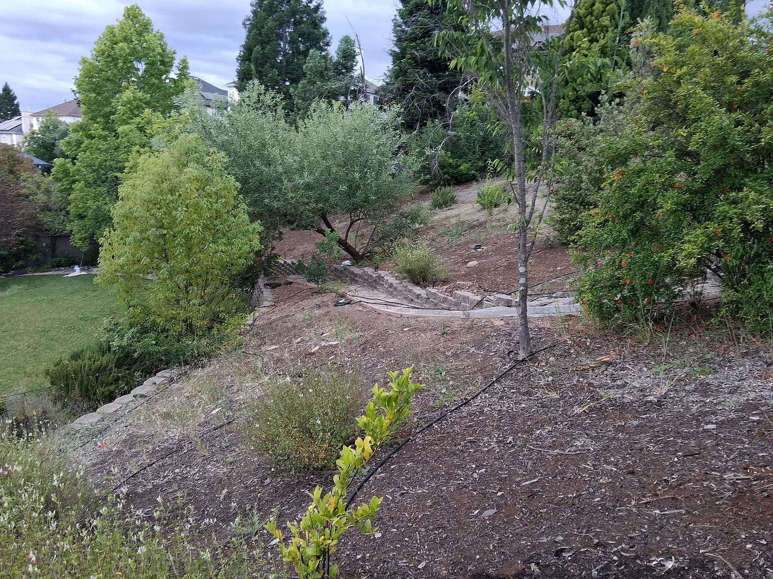 3 bed, 2.5 bath, 2601 sqft, $7,000 — Photo 3