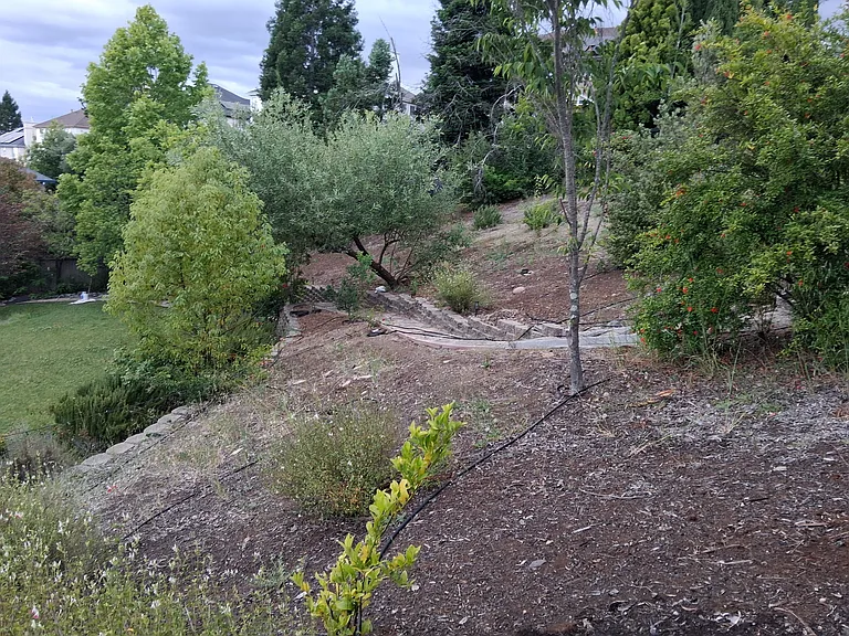 1457 Nighthawk Pl — Photo 4