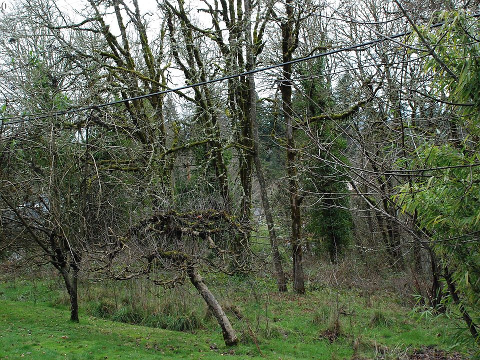 2nd image of 21525 Willamette Dr