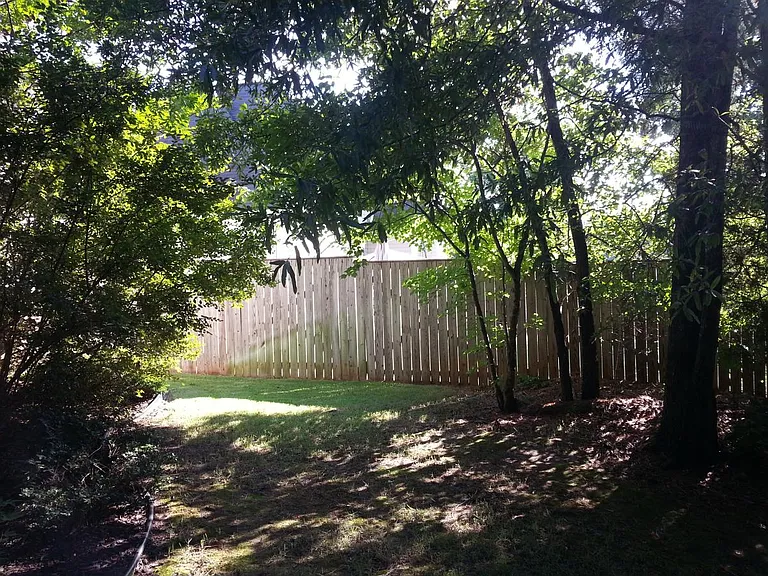 Back Yard