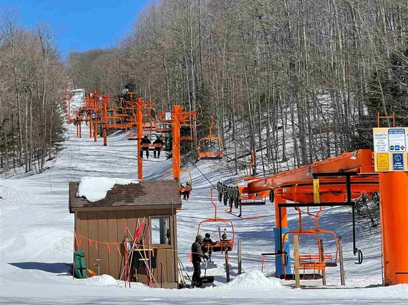 6060 Trillium Woods Dr, Harbor Springs, MI 49740