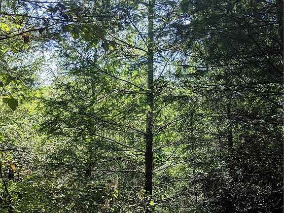 3rd image of 2 Lone Bear Ln SW