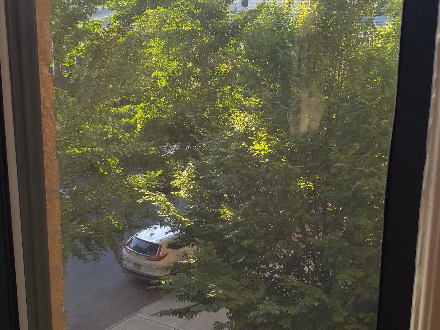 2 bed, 1200 sqft, $2,795 — Photo 4