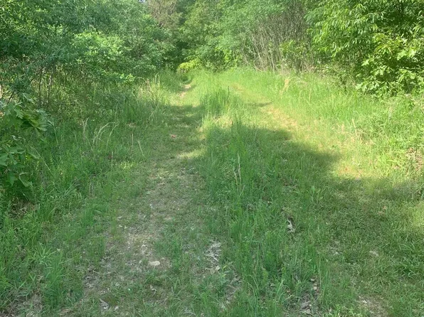 4976 Tomahawk Church Rd, Saint Joe, AR 72675