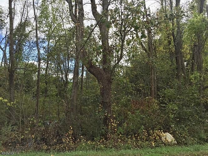 2nd image of 18 Old Beaver Run Rd