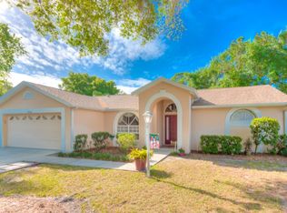 24208 Painter Dr, Land O Lakes, FL 34639