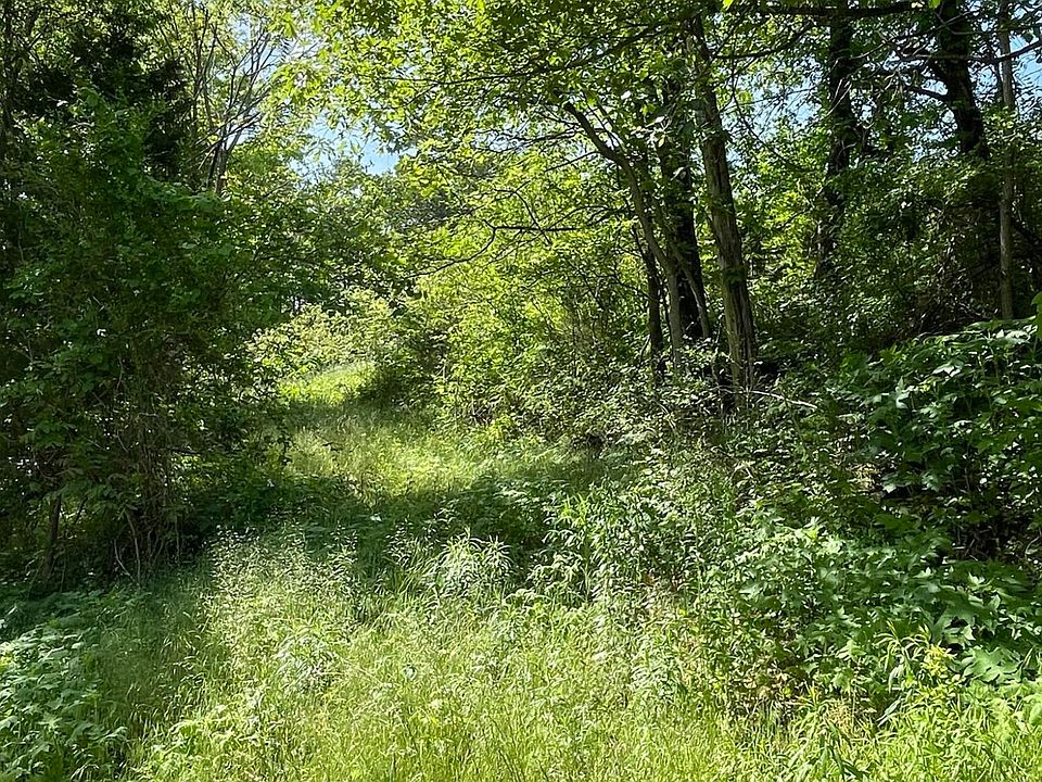 2nd image of Leadmine Bend Rd
