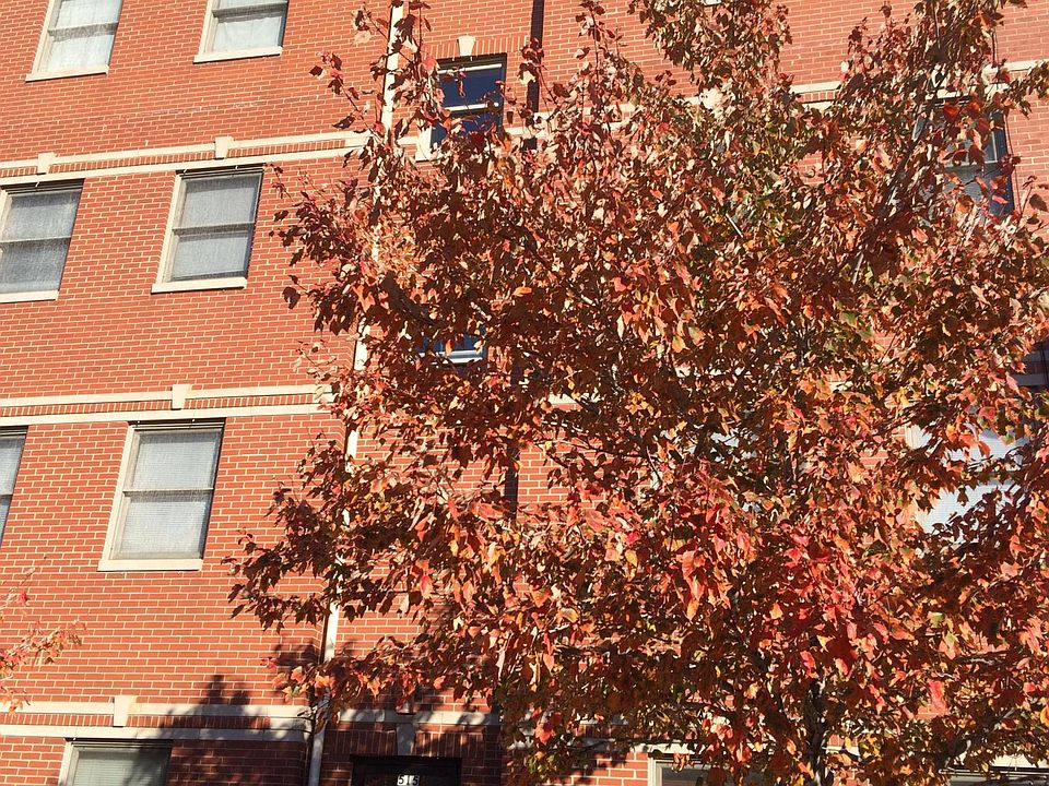 1st image of 515 S Maplewood Ave APT 1W