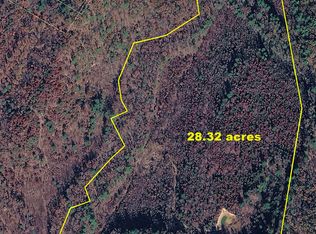 4600 Green Forest Ave, Buena Vista, VA