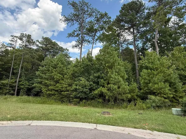 542 Golden Rod Ct, Blythewood, SC 29016