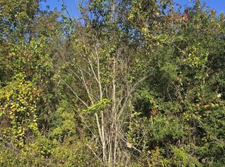 Maple Cv, Vancleave, MS 39565