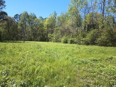 0 Holly Creek Cool Springs Rd, Chatsworth, GA, 30705