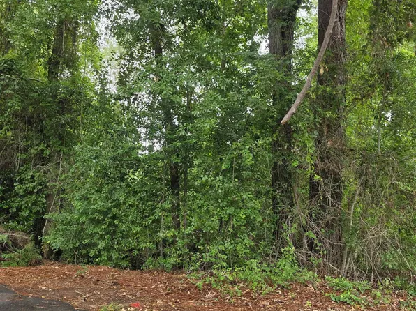 12 Reynolds St, Hawkinsville, GA 31036