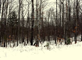 15187 Avenue Du Chalet, Wolverine, MI 49799
