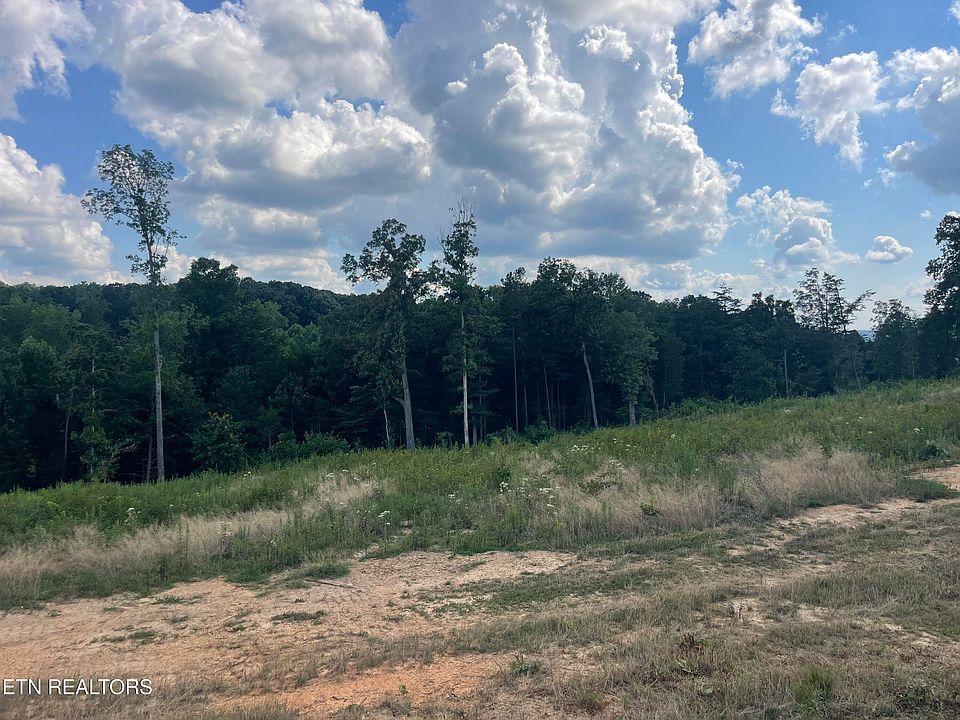 2nd image of LOT 19 Laura Boling Loop Rd