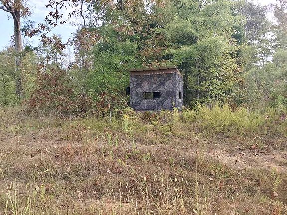 3rd image of 290 County Road 319