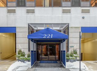 221 E Walton Pl APT 3B, Chicago, IL