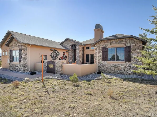 13790 County Road 261d, Nathrop, CO 81236